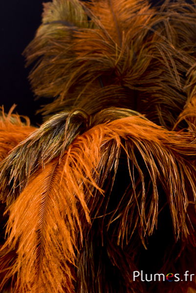 Behoort de jouwe ventilatie Vogelveren.eu: Verkoop veren, veren, mooie veren, bruiloft, hat net, tros, peacock, ganzen, kalkoenen, leder, kunst strengen mensenhaar Behoort de jouwe ventilatie Vogelveren.eu: Verkoop veren, veren, mooie veren, bruiloft, hat net, tros, peacock, ganzen, kalkoenen, leder, kunst strengen mensenhaar