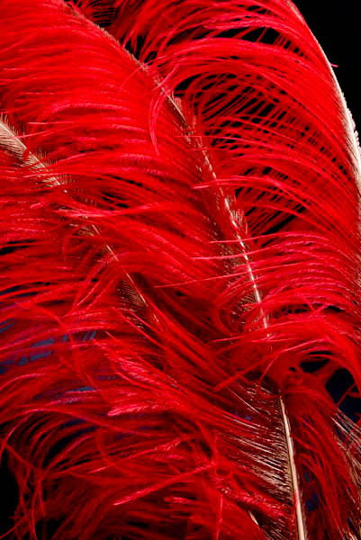 Ontdek de nieuwe items