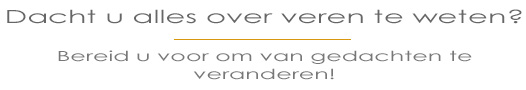 Dacht u dat u sierveren kende? Bereid u erop voor dat u van gedachten zult veranderen.